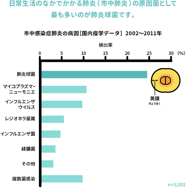 市中感染症肺炎の原因[国内疫学データ] 2002~2011年